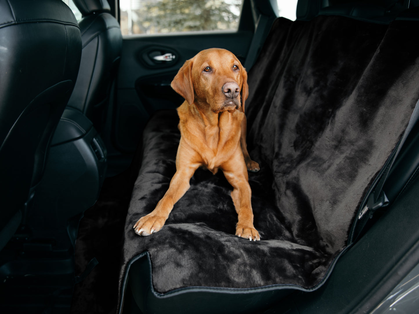 Sheepskin Car Seat Protectors for Dogs